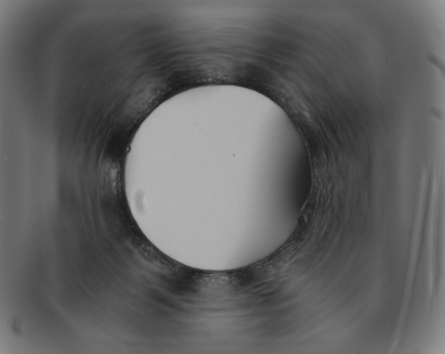 X0000091300123200708311344