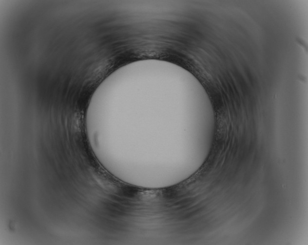 X0000091300126200708311344