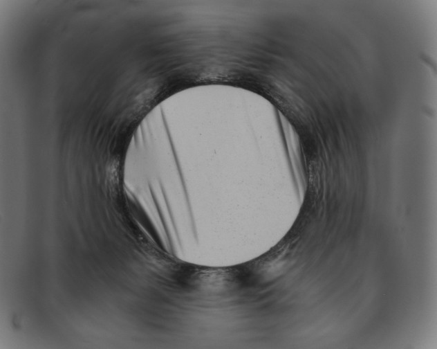 X0000091300127200708311344