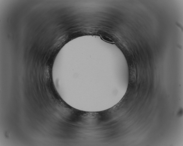 X0000091300128200708311344