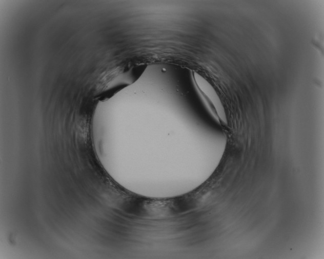 X0000091300129200708311344