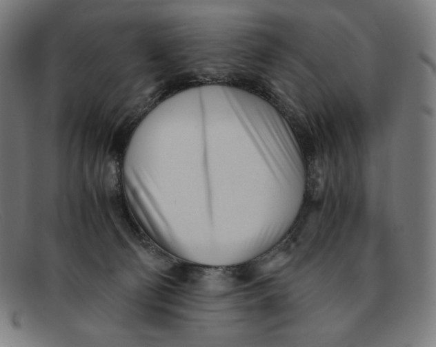 X0000091300130200708311344