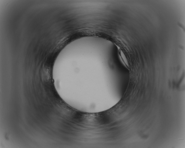 X0000091300131200708311344