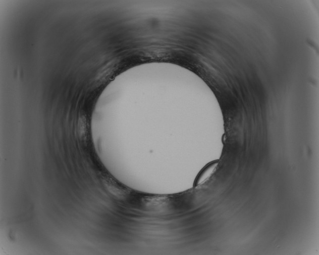 X0000091300132200708311344