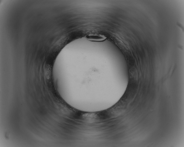 X0000091300133200708311344