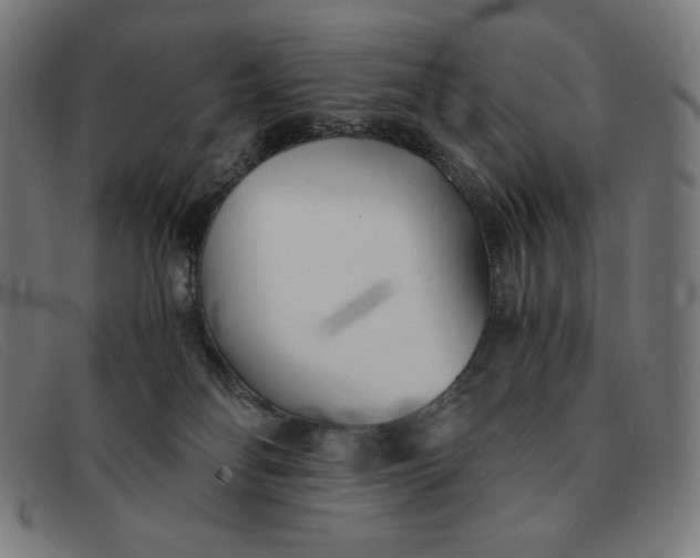 X0000091300134200708311344