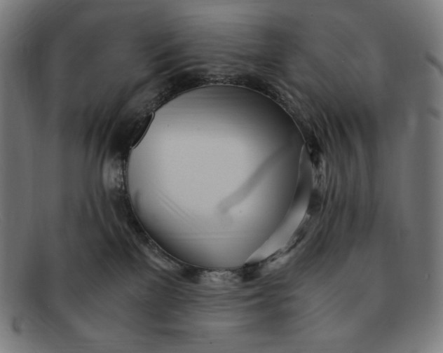 X0000091300137200708311344