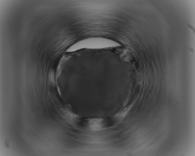 X0000091300143200708311344