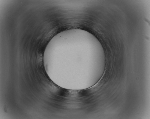 X0000091300144200708311344