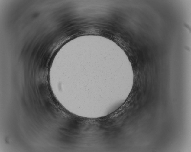 X0000091300146200708311344