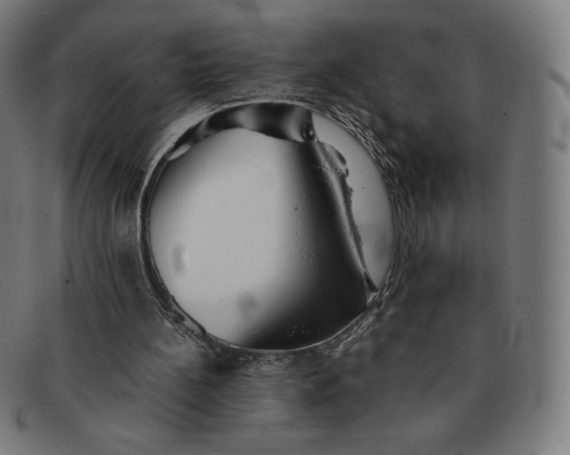 X0000091300148200708311344