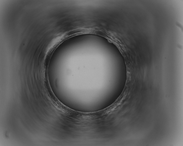 X0000091300149200708311344