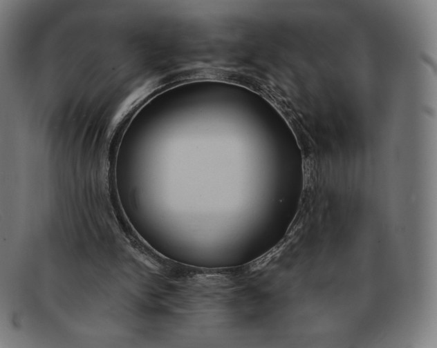 X0000091300150200708311344