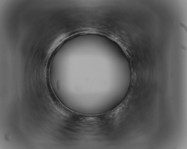 X0000091300151200708311344