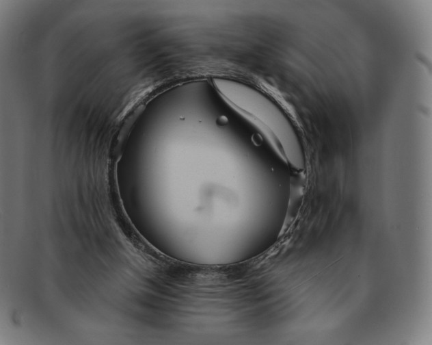 X0000091300154200708311344