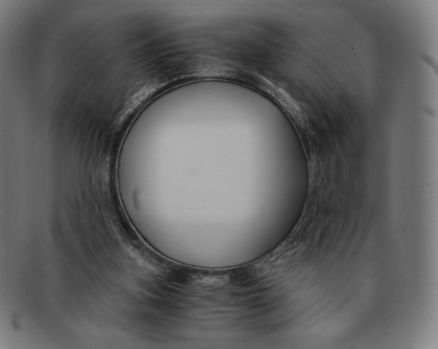 X0000091300155200708311344