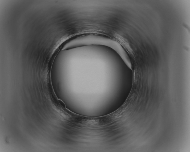 X0000091300156200708311344