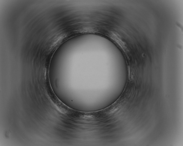 X0000091300157200708311344