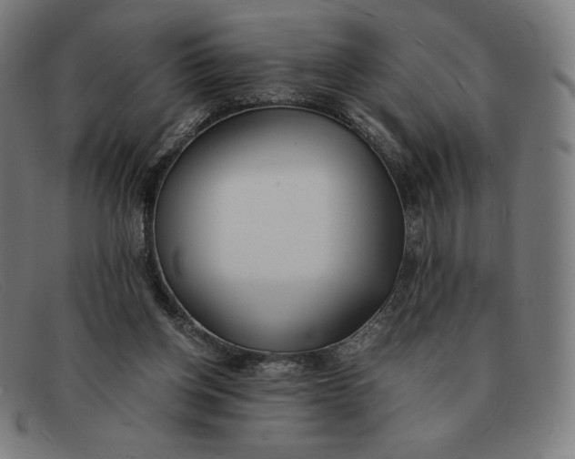 X0000091300158200708311344