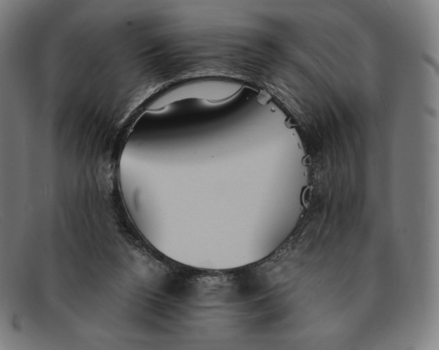 X0000091300160200708311344