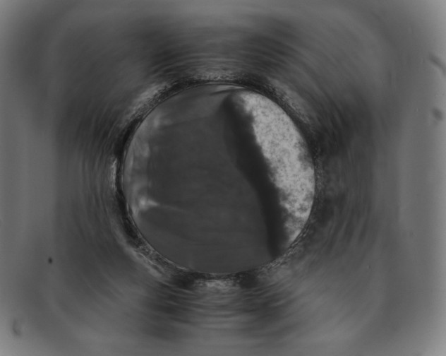 X0000091300163200708311344