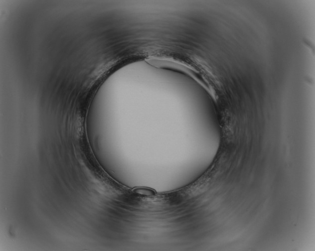 X0000091300164200708311344