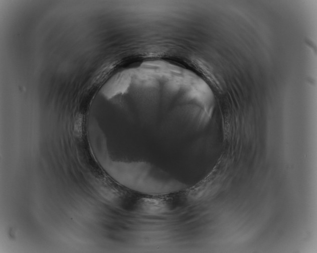 X0000091300167200708311344