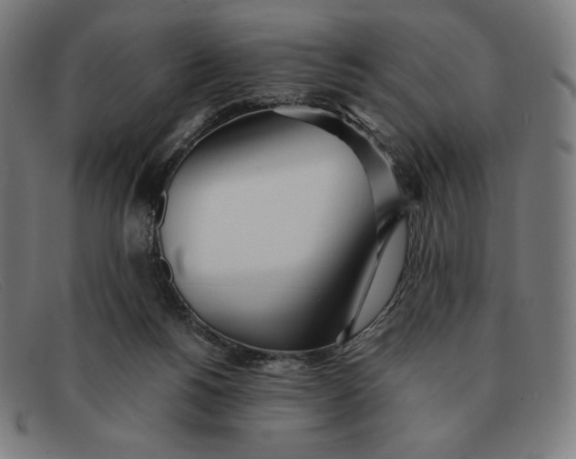 X0000091300168200708311344