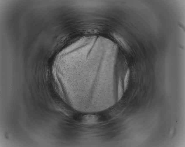 X0000091300169200708311344