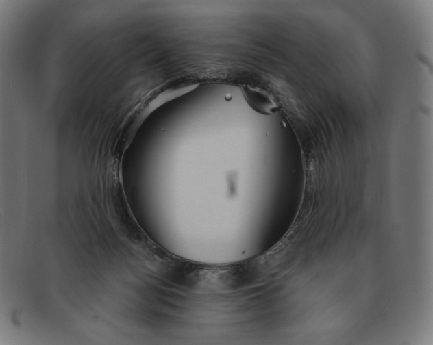 X0000091300172200708311344