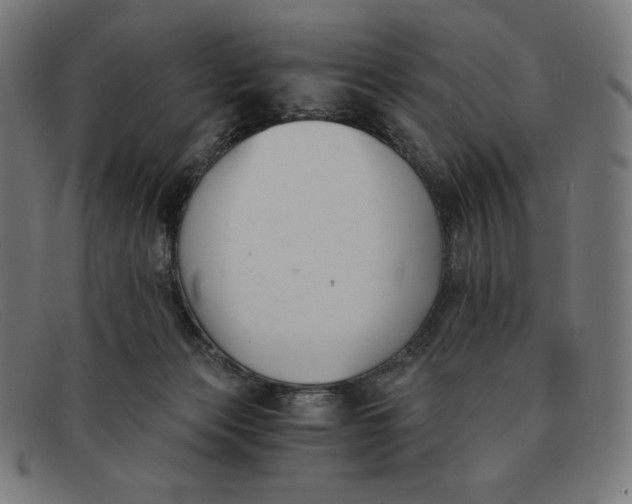 X0000091300173200708311344