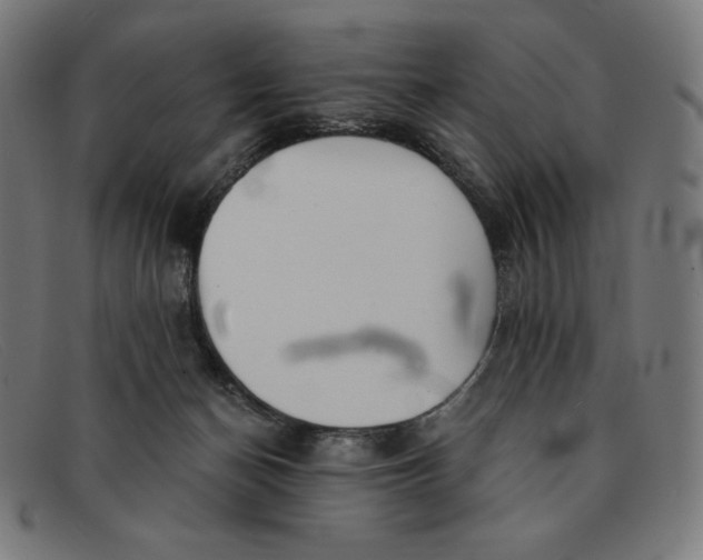 X0000091300174200708311344