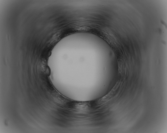 X0000091300175200708311344