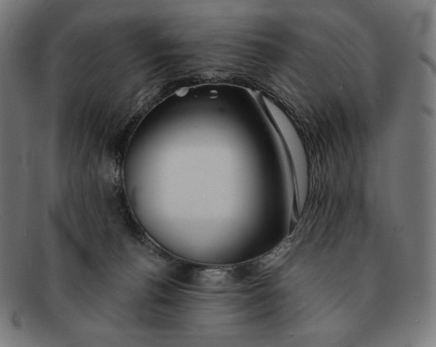 X0000091300176200708311344