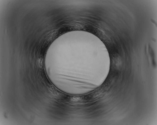 X0000091300177200708311344