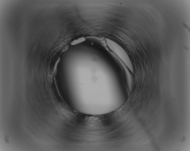 X0000091300180200708311344