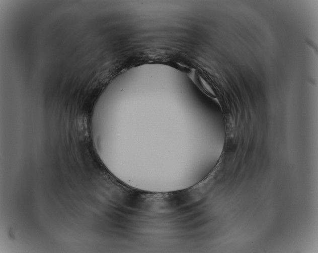 X0000091300182200708311344