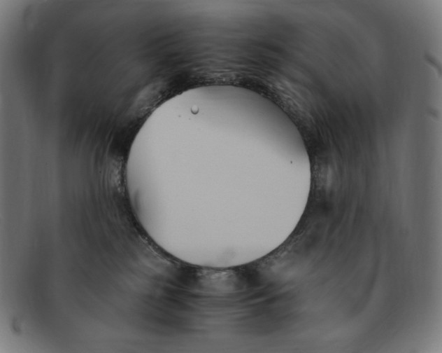 X0000091300185200708311344