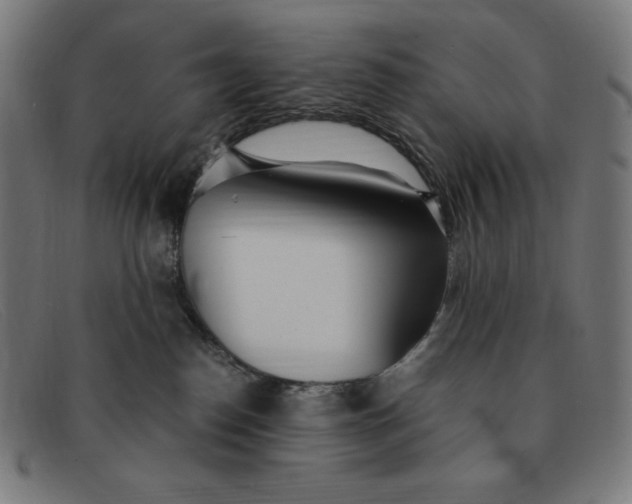 X0000091300186200708311344