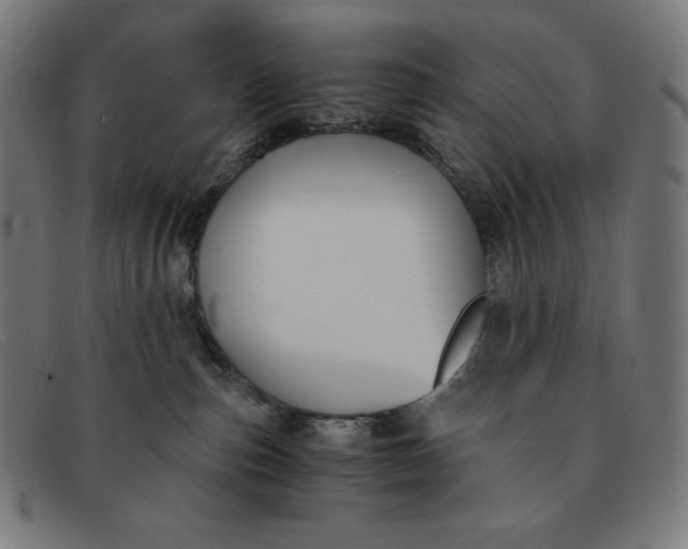 X0000091300187200708311344