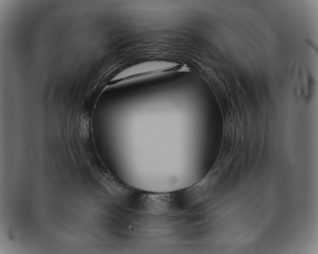 X0000091300188200708311344