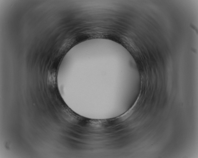 X0000091300190200708311344