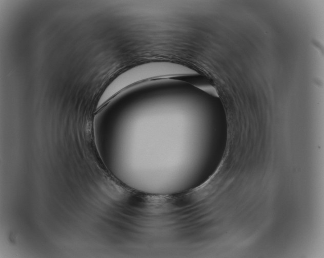 X0000091300192200708311344