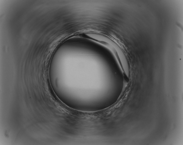 X0000091300193200708311343