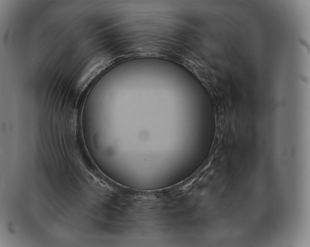 X0000091300194200708311343