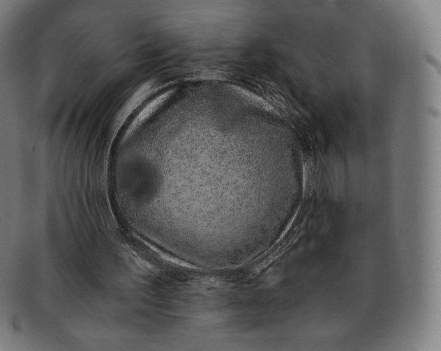 X0000091300195200708311343