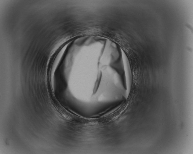 X0000091300196200708311343