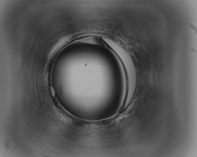 X0000091300197200708311343