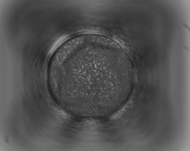 X0000091300199200708311343