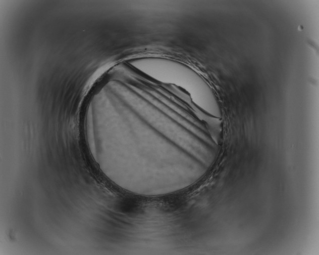 X0000091300200200708311343